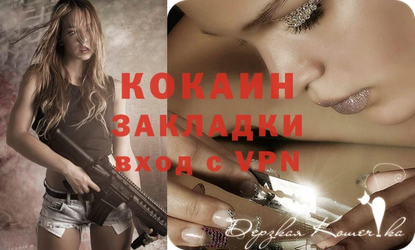 твердый Корсаков