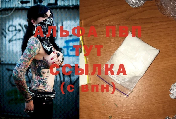 твердый Корсаков